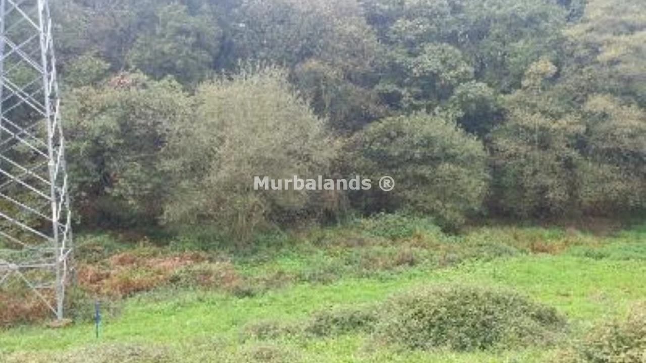 Foto de un terreno o una obra parada para mostrar en el detalle del inmueble