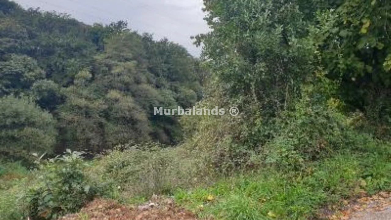 Foto de un terreno o una obra parada para mostrar en el detalle del inmueble