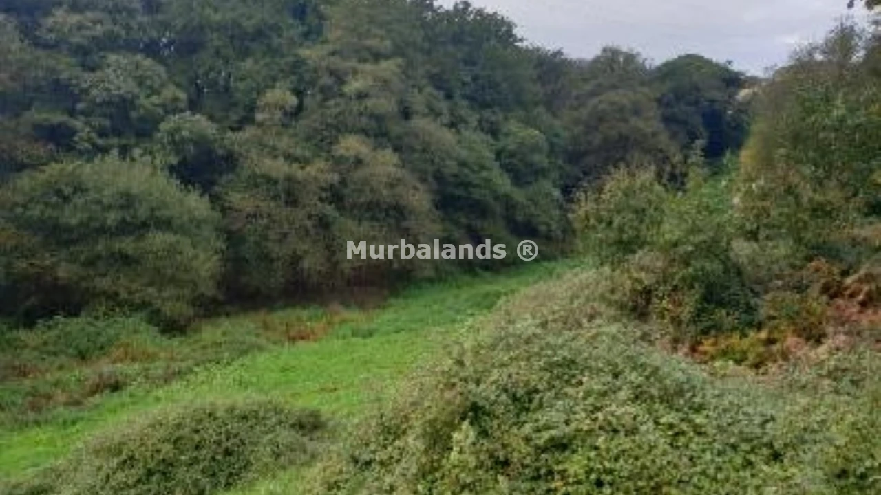 Foto de un terreno o una obra parada para mostrar en el detalle del inmueble