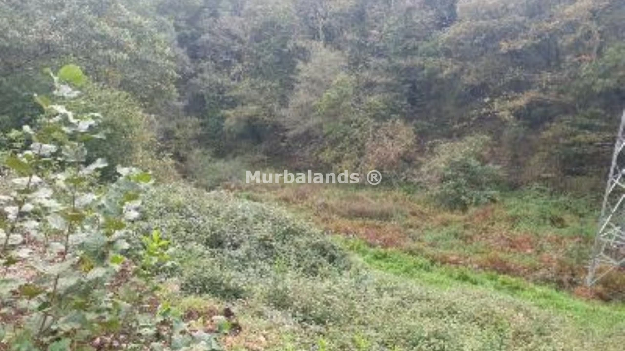 Foto de un terreno o una obra parada para mostrar en el detalle del inmueble
