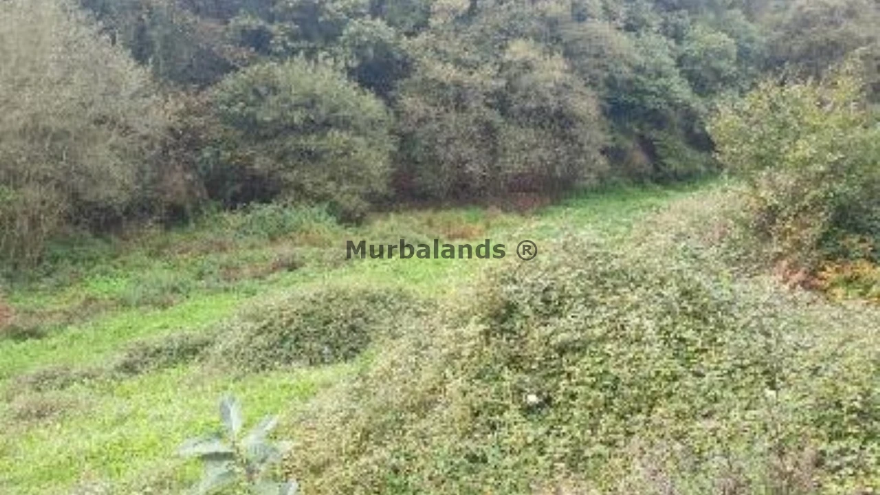 Foto de un terreno o una obra parada para mostrar en el detalle del inmueble
