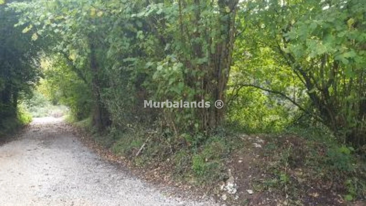 Foto de un terreno o una obra parada para mostrar en el detalle del inmueble