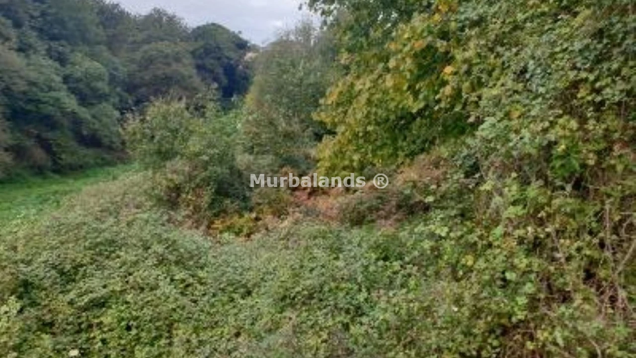 Foto de un terreno o una obra parada para mostrar en el detalle del inmueble
