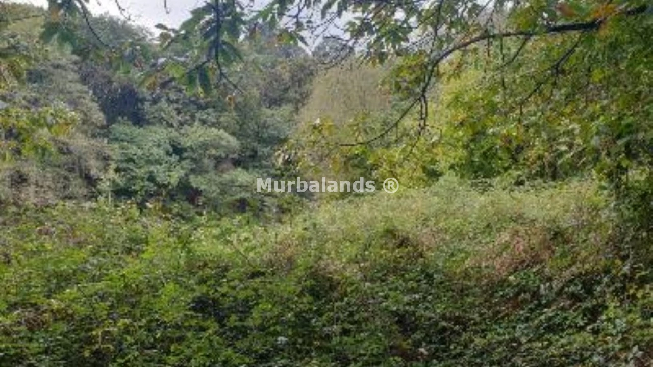 Foto de un terreno o una obra parada para mostrar en el detalle del inmueble
