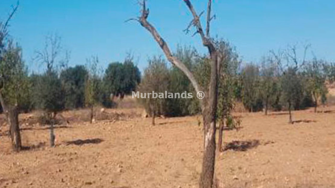 Foto de un terreno o una obra parada para mostrar en el detalle del inmueble