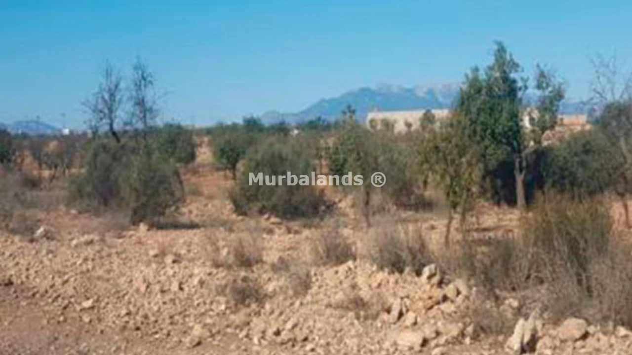 Foto de un terreno o una obra parada para mostrar en el detalle del inmueble