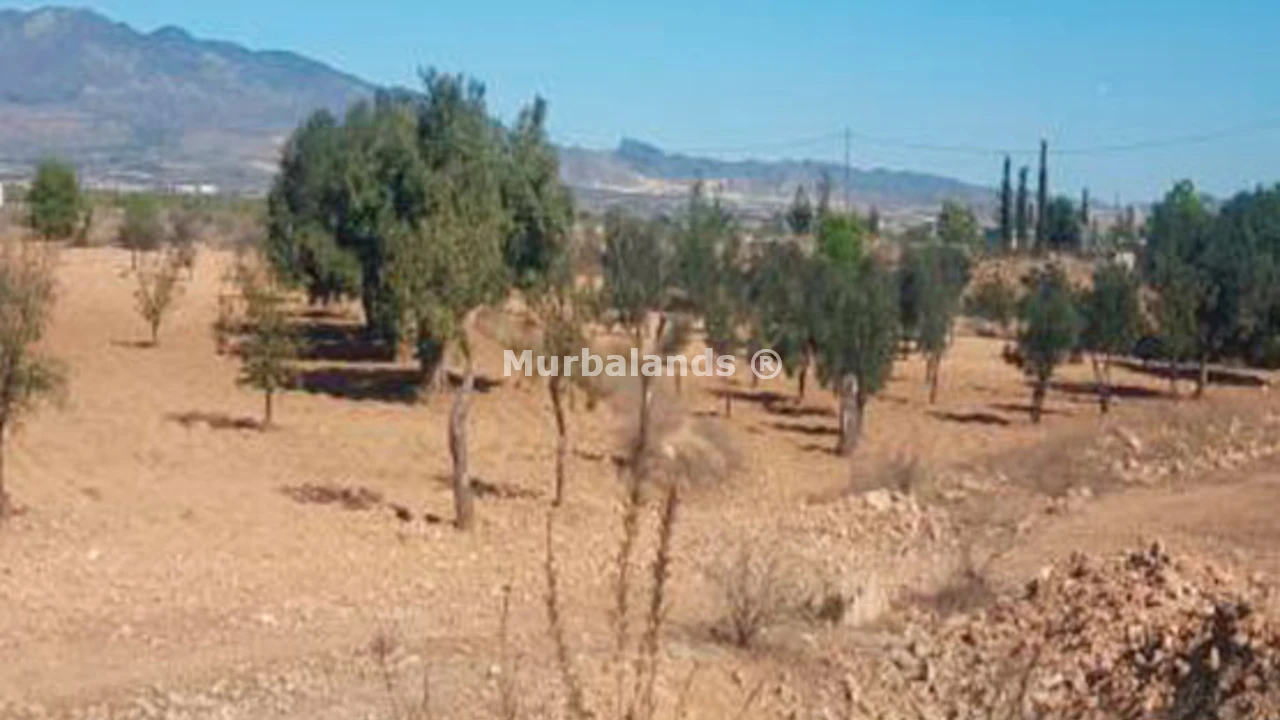 Foto de un terreno o una obra parada para mostrar en el detalle del inmueble