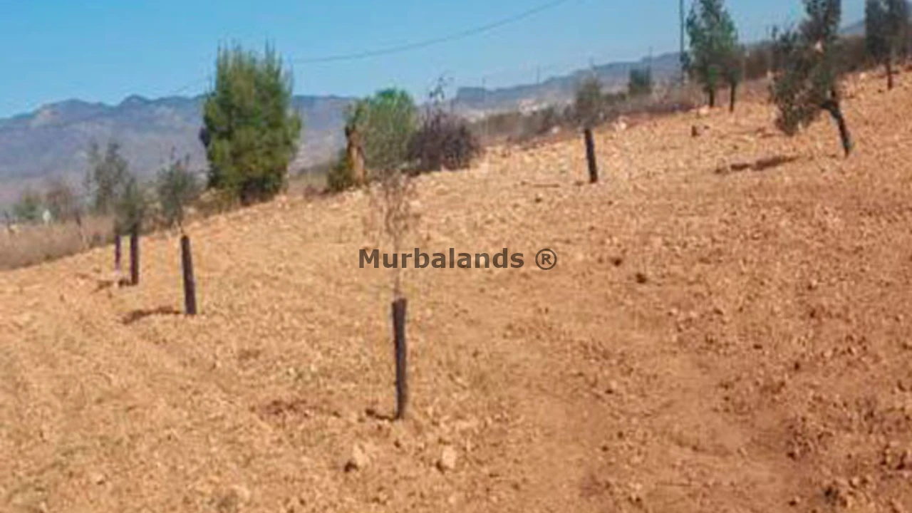 Foto de un terreno o una obra parada para mostrar en el detalle del inmueble