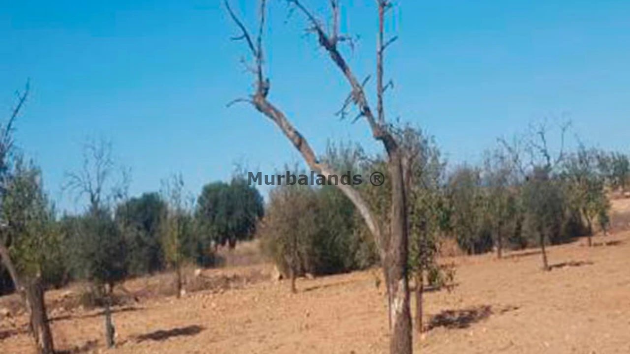 Foto de un terreno o una obra parada para mostrar en el detalle del inmueble