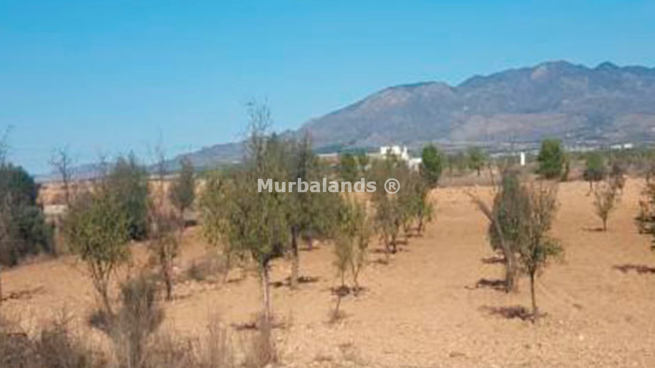 Foto de un terreno o una obra parada para mostrar en el detalle del inmueble