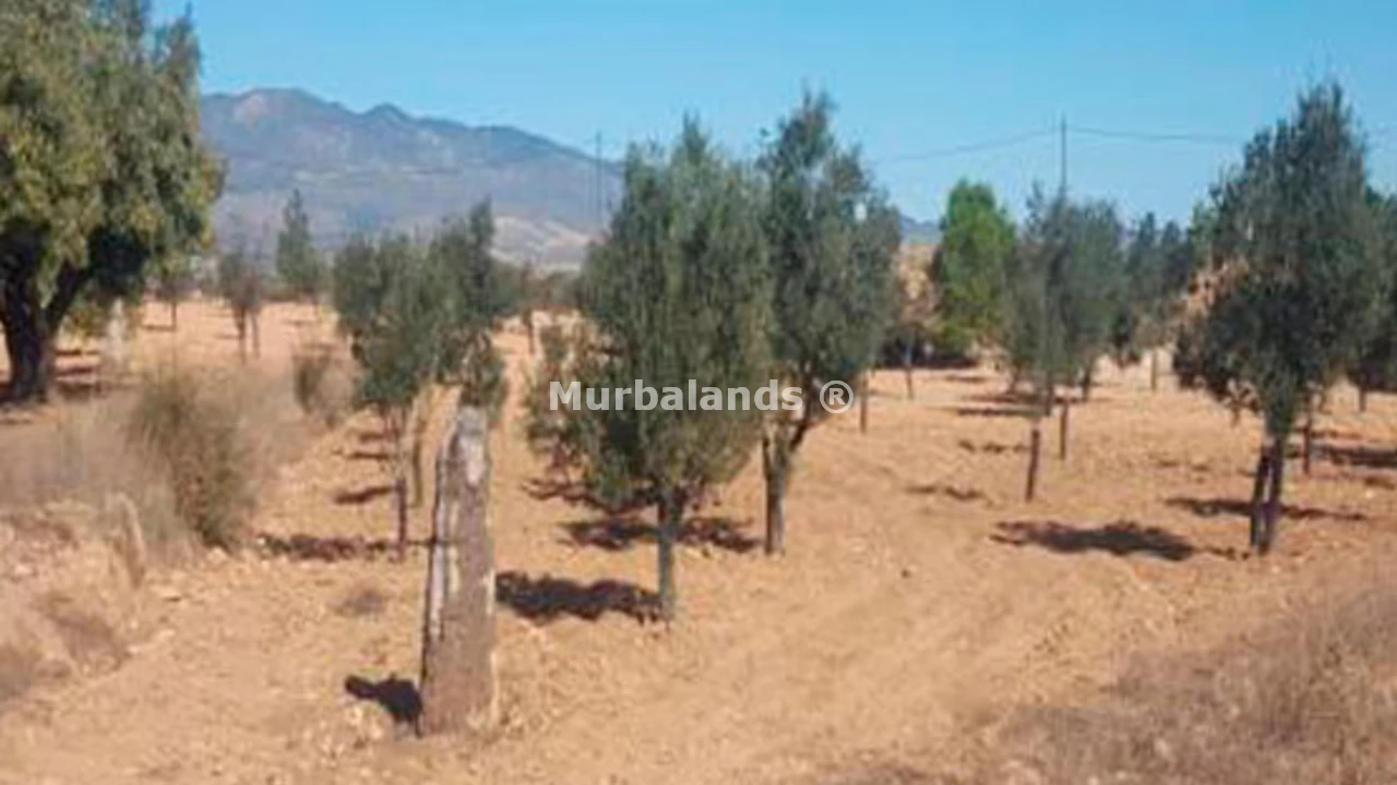 Foto de un terreno o una obra parada para mostrar en el detalle del inmueble