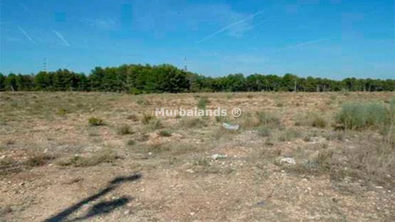 Foto de un terreno o una obra parada para mostrar en el detalle del inmueble
