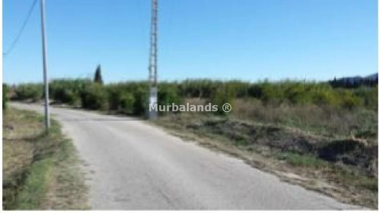 Terreno destacado