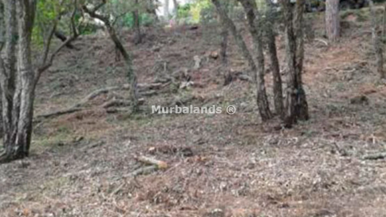 Foto de un terreno o una obra parada para mostrar en el detalle del inmueble