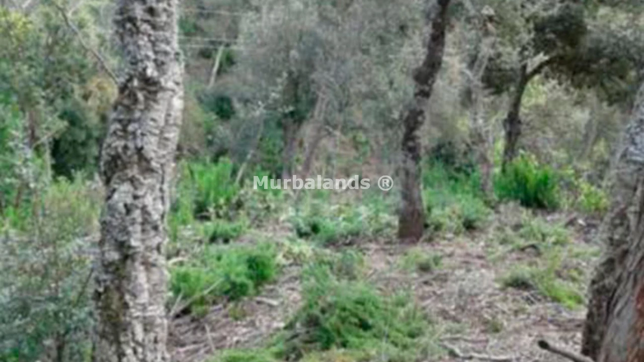 Foto de un terreno o una obra parada para mostrar en el detalle del inmueble