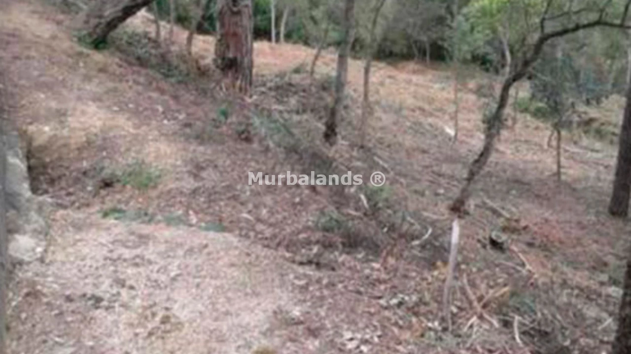 Foto de un terreno o una obra parada para mostrar en el detalle del inmueble