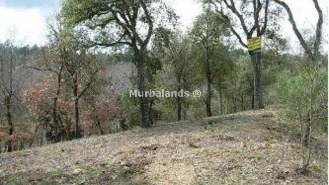Terreno destacado