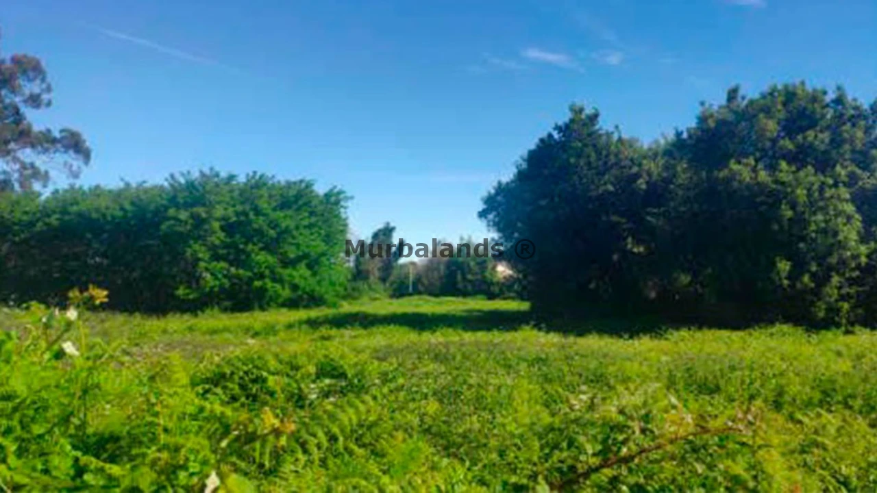 Foto de un terreno o una obra parada para mostrar en el detalle del inmueble