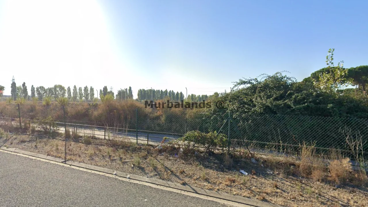 Terreno destacado