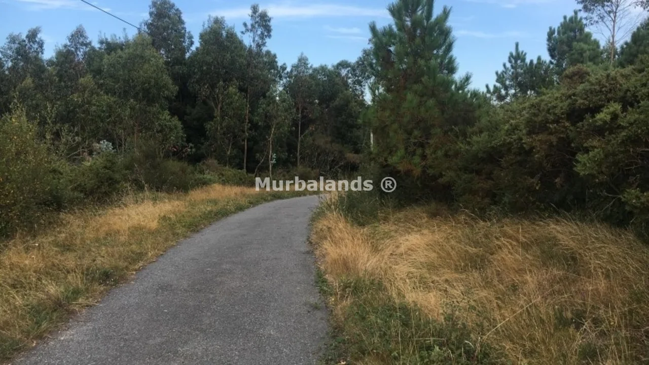 Foto de un terreno o una obra parada para mostrar en el detalle del inmueble