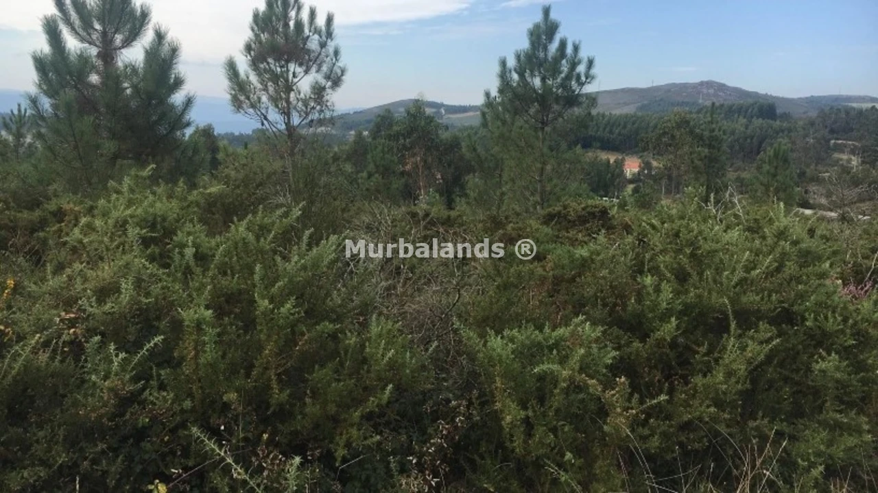 Foto de un terreno o una obra parada para mostrar en el detalle del inmueble
