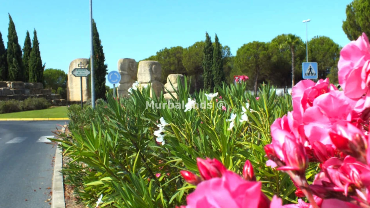 Foto del anuncio Ref. 00005332