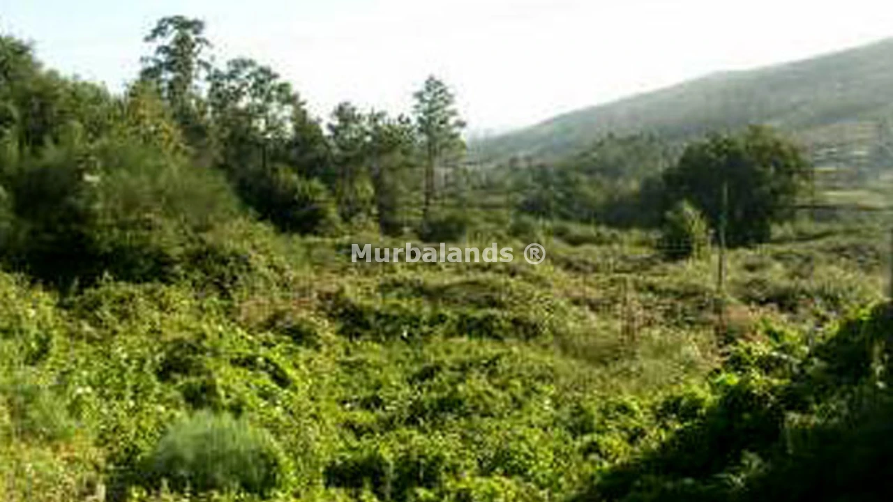 Foto de un terreno o una obra parada para mostrar en el detalle del inmueble