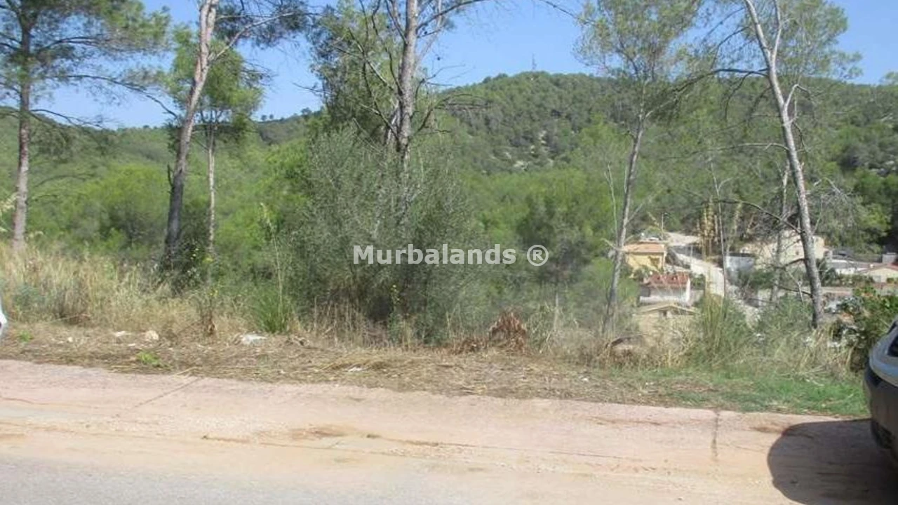 Terreno destacado