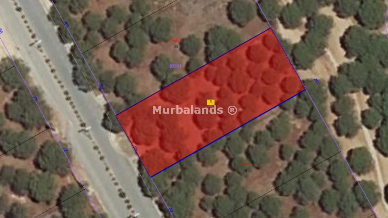 Foto del anuncio Ref. 00005328