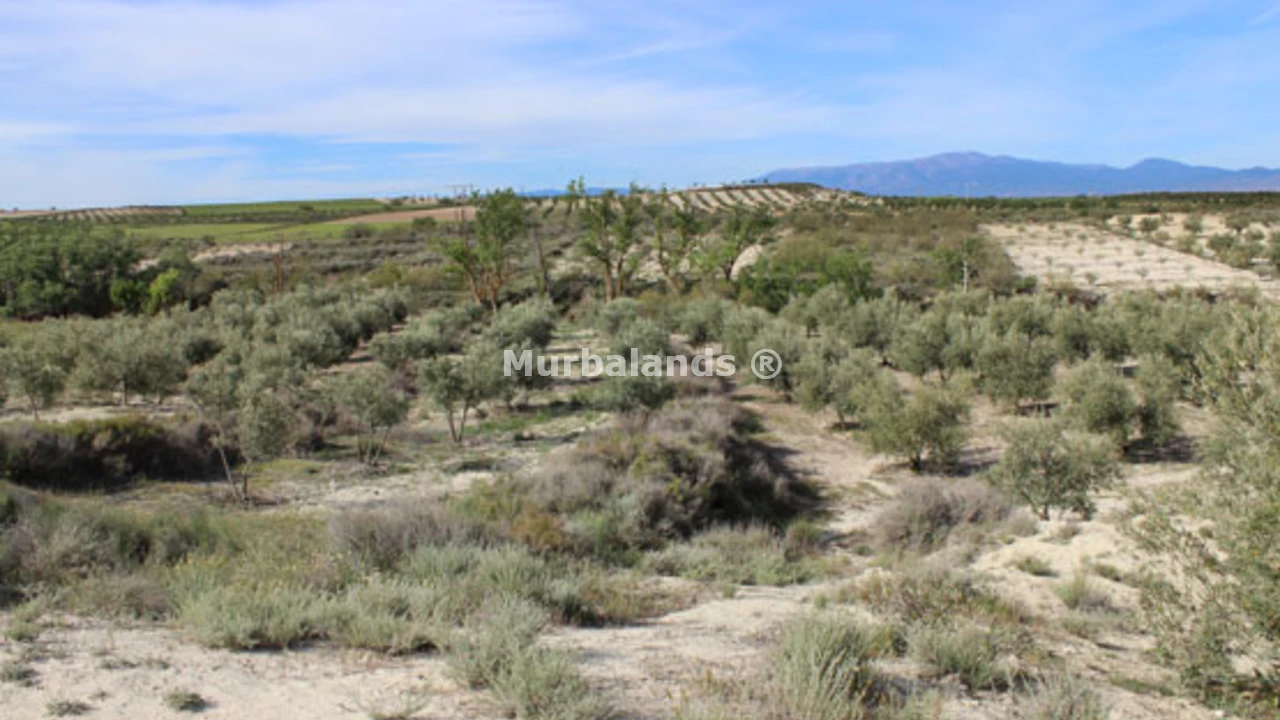 Foto de un terreno o una obra parada para mostrar en el detalle del inmueble