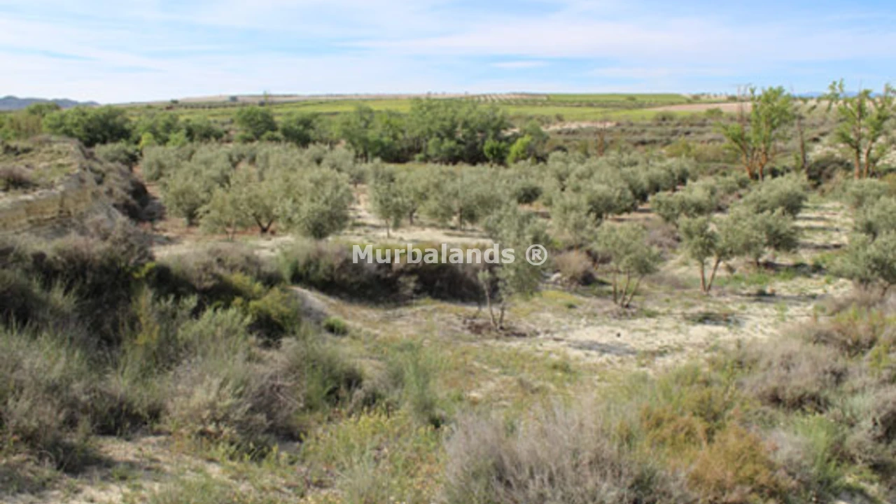 Foto de un terreno o una obra parada para mostrar en el detalle del inmueble