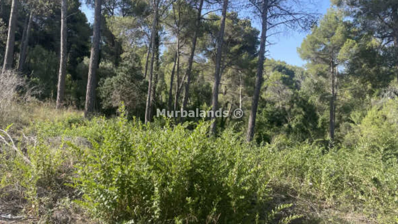 Foto del anuncio Ref. 00005190