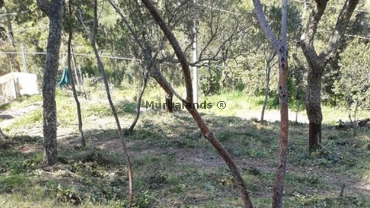 Foto de un terreno o una obra parada para mostrar en el detalle del inmueble