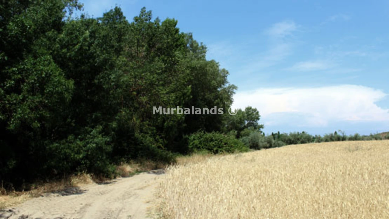 Terreno destacado