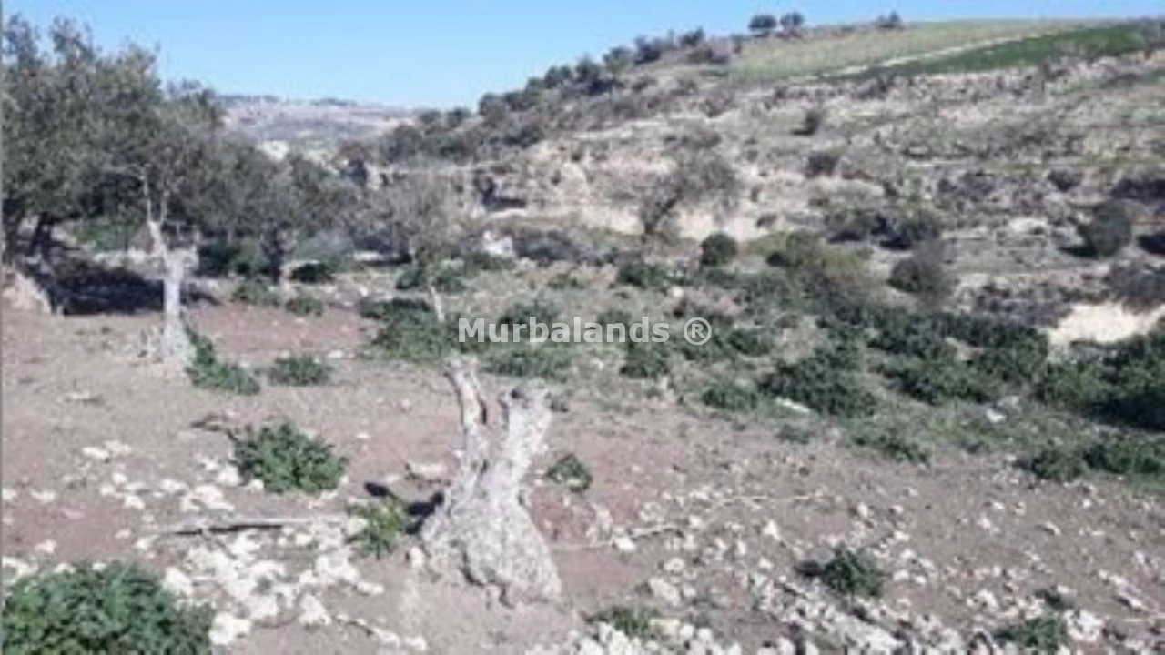 Foto de un terreno o una obra parada para mostrar en el detalle del inmueble