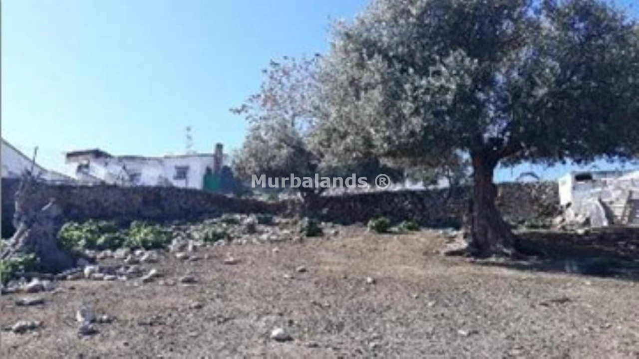 Foto de un terreno o una obra parada para mostrar en el detalle del inmueble