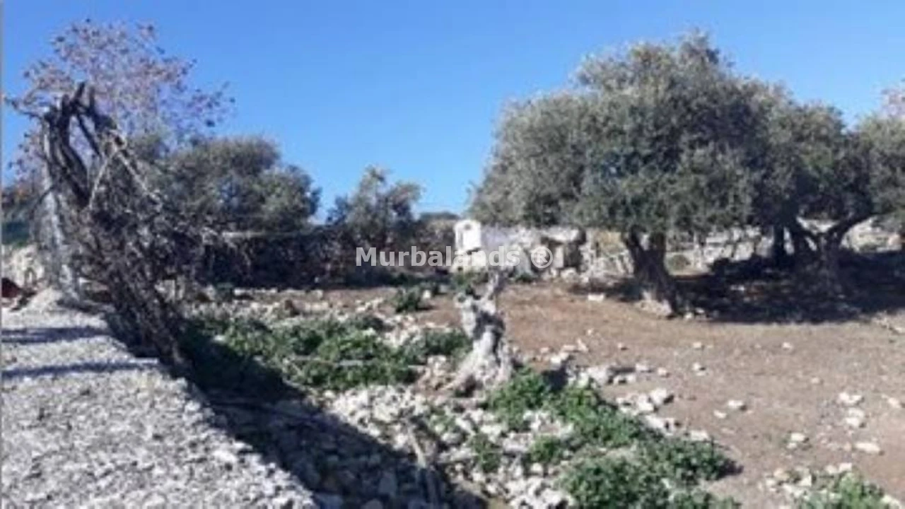 Foto de un terreno o una obra parada para mostrar en el detalle del inmueble