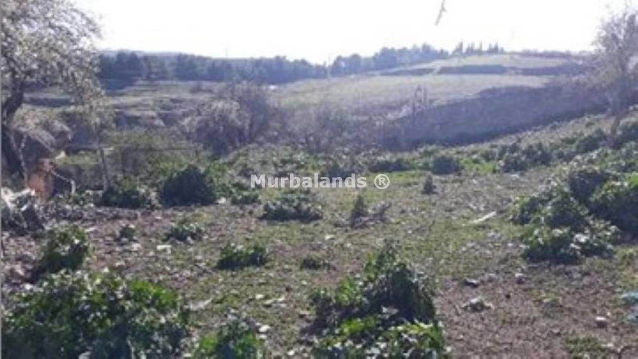 Foto de un terreno o una obra parada para mostrar en el detalle del inmueble