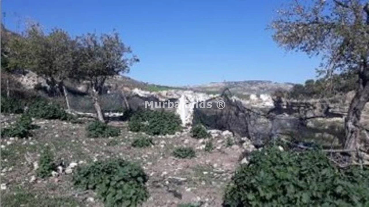 Foto de un terreno o una obra parada para mostrar en el detalle del inmueble