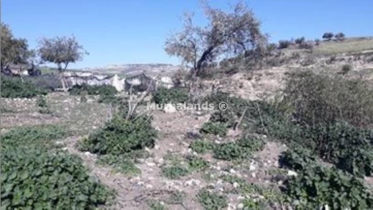 Foto de un terreno o una obra parada para mostrar en el detalle del inmueble