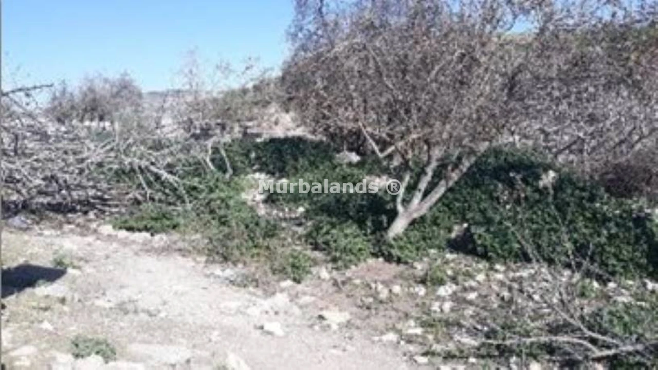 Foto de un terreno o una obra parada para mostrar en el detalle del inmueble