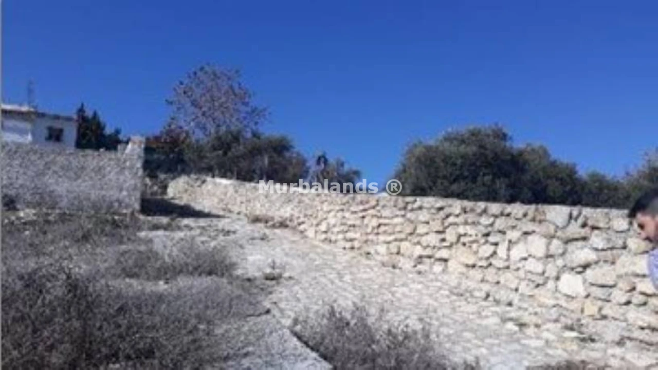 Foto de un terreno o una obra parada para mostrar en el detalle del inmueble