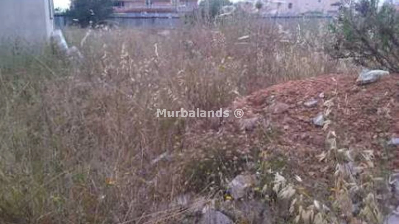 Foto de un terreno o una obra parada para mostrar en el detalle del inmueble