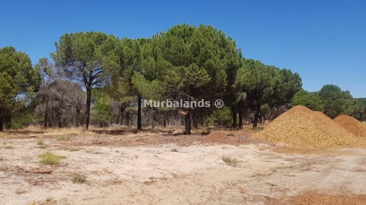 Foto de un terreno o una obra parada para mostrar en el detalle del inmueble