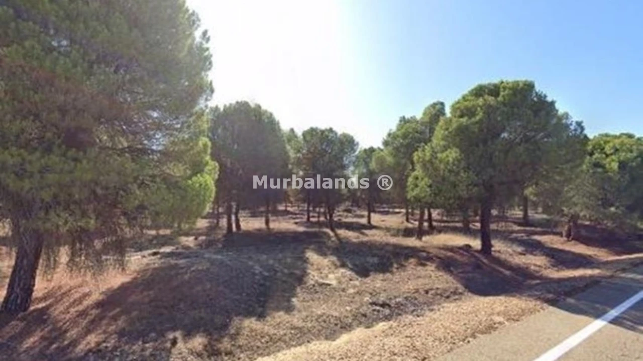 Foto de un terreno o una obra parada para mostrar en el detalle del inmueble