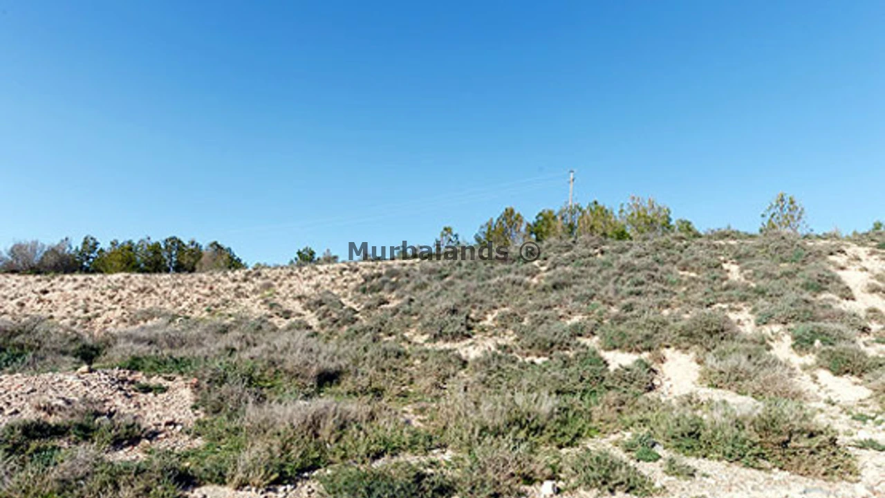 Foto de un terreno o una obra parada para mostrar en el detalle del inmueble