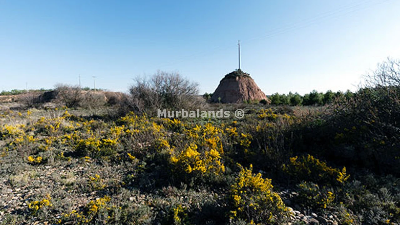 Foto de un terreno o una obra parada para mostrar en el detalle del inmueble