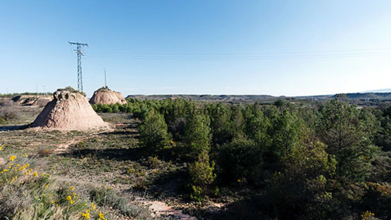 Foto de un terreno o una obra parada para mostrar en el detalle del inmueble