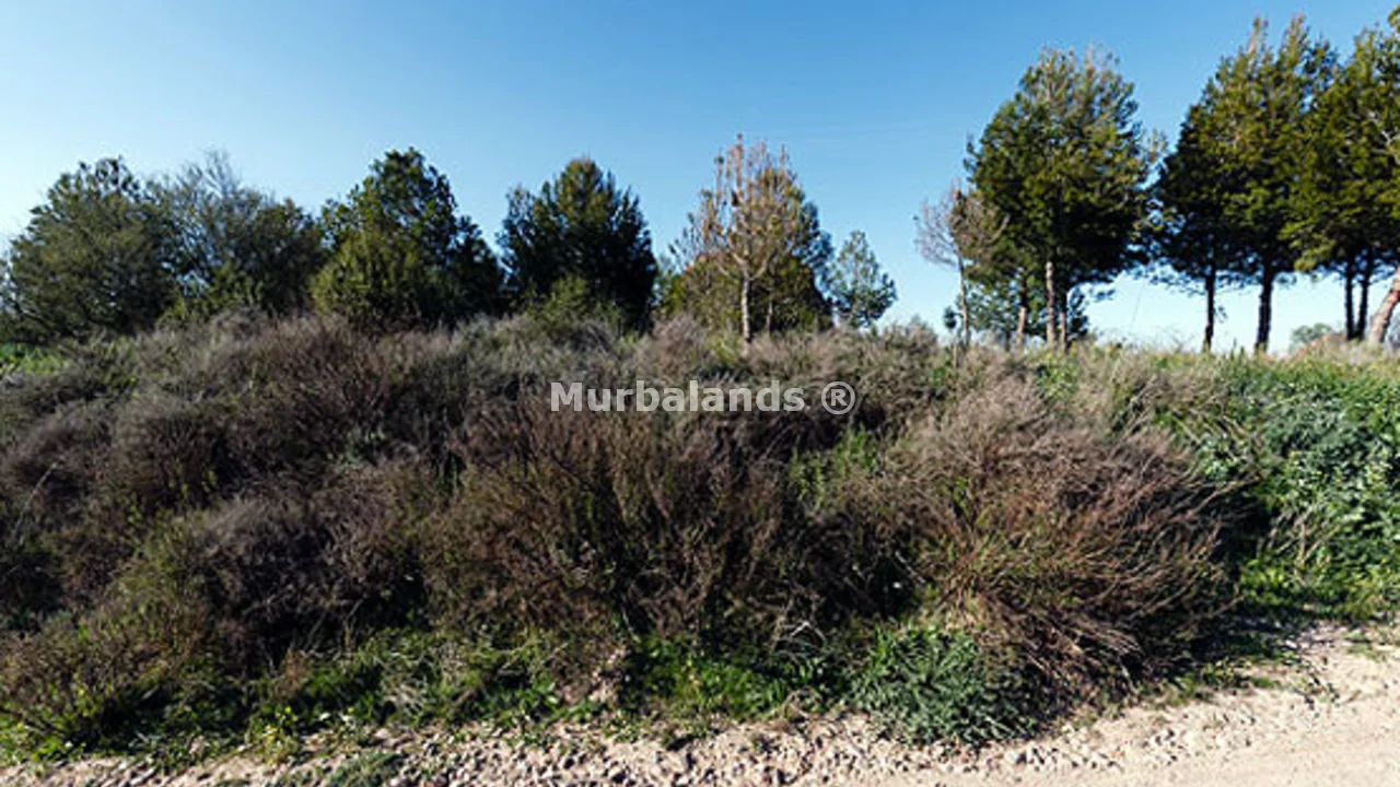 Foto de un terreno o una obra parada para mostrar en el detalle del inmueble