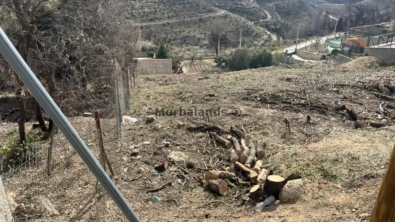 Foto del anuncio Ref. 00005351